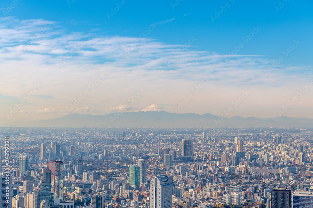 富士山と東京ビル群の空撮
