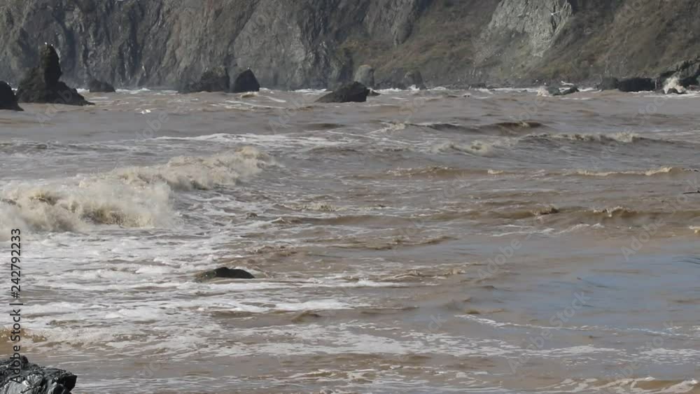 Swirling waves on River end. The Russian river coloring brown the Pacific ocean after rain. Seagulls and Seals. Goat Rock Beach, Sonoma County, California winter. Swirling waves on River end. The Russian river coloring brown the Pacific ocean after rain. Seagulls and Seals. Goat Rock Beach, Sonoma County, California winter.
