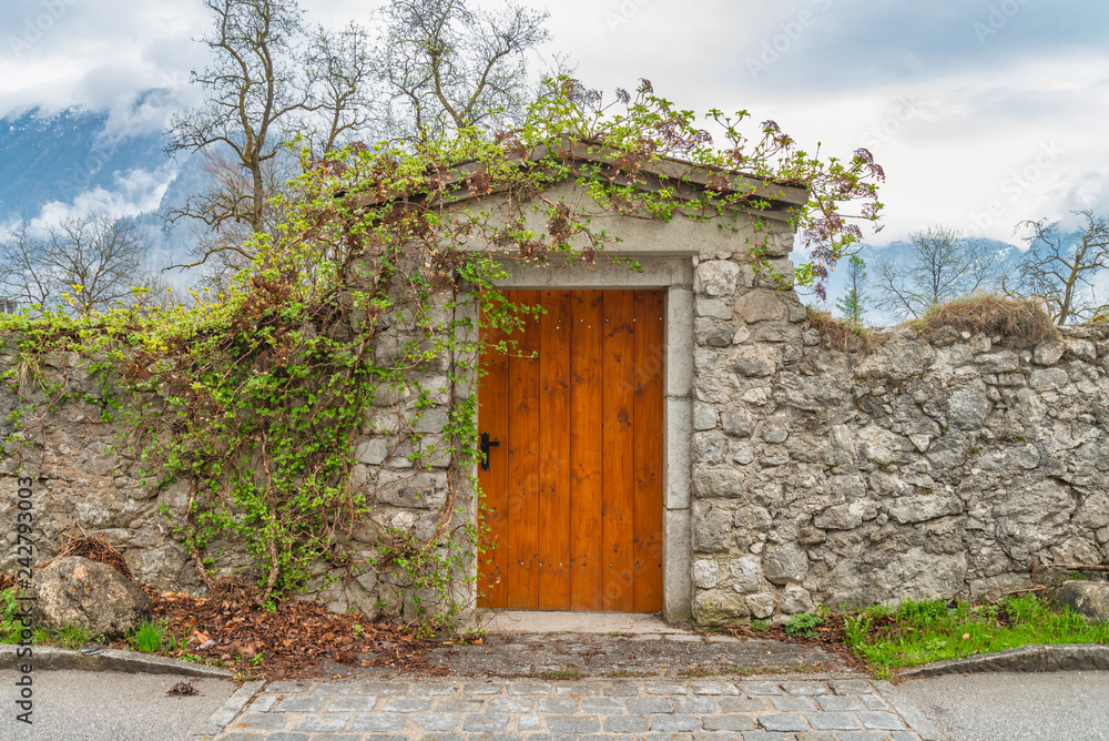 The beautiful wooden old door and stone wall for  background. This photo taken from Hallstatt, Austria