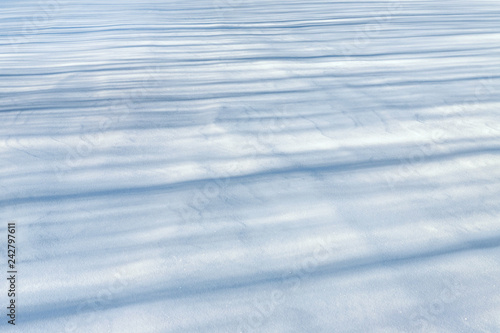 Snow covered field with tree shadows. Winter background.