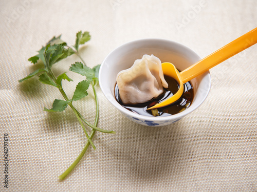 Chinese traditional delicious dumplings