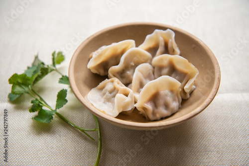Chinese traditional delicious dumplings