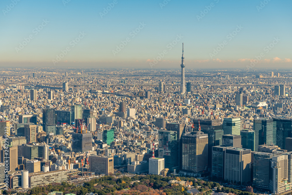 Obraz premium 東京スカイツリーと都心の空撮