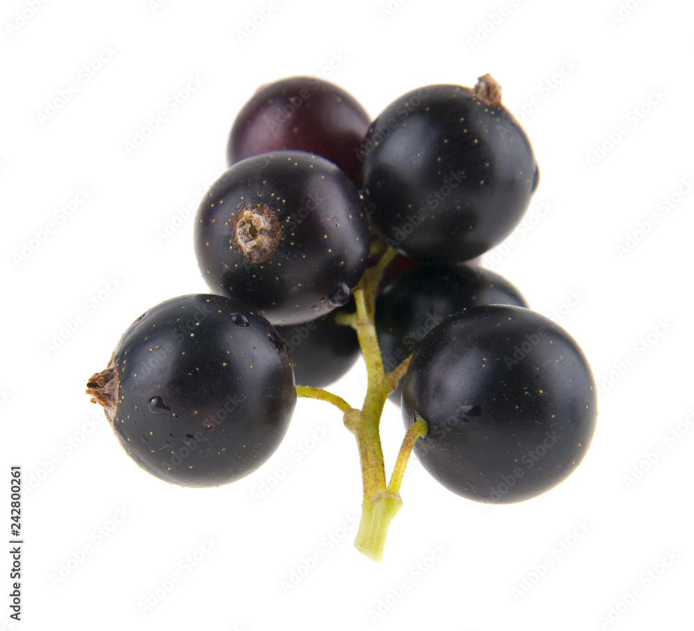 food with fresh organic currants isolated on white background food with fresh organic currants isolated on white background