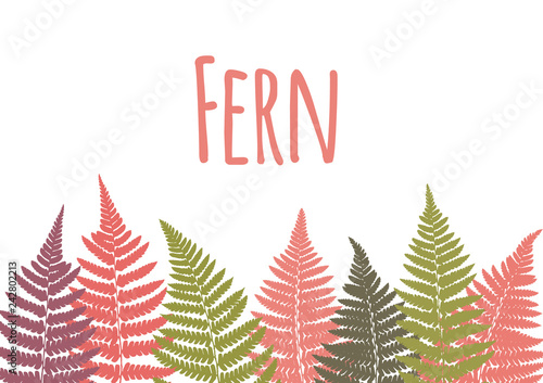 Fern leaf background. Tropical botanical card. Vector illustration