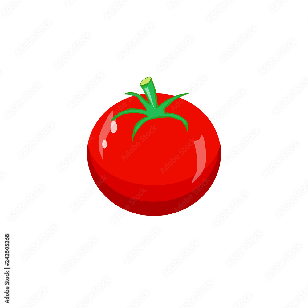 illustration of tomato on white background illustration of tomato on white background