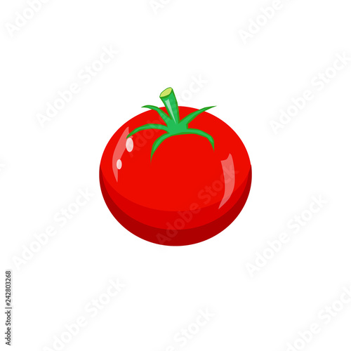 illustration of tomato on white background