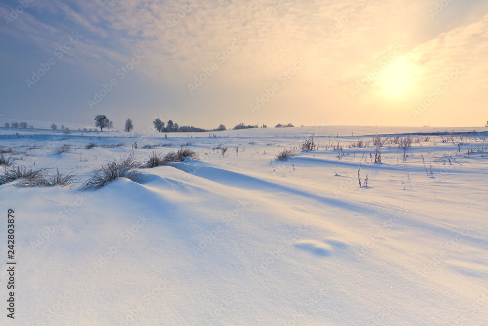 Beautiful snow winter landscape.Winter landscape.