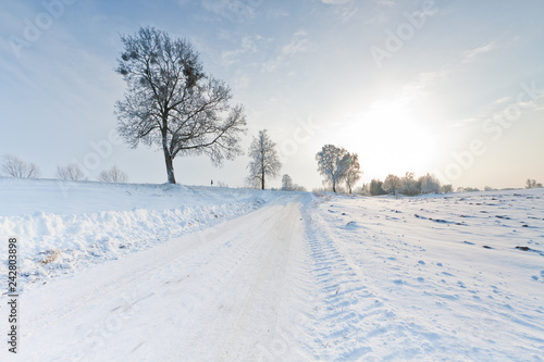 Beautiful snow winter landscape.Winter landscape. © Lukasz Sokol