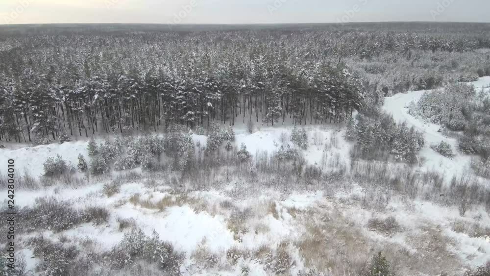 winter snowy forest from above, shooting from quadrocopter winter snowy forest from above, shooting from quadrocopter