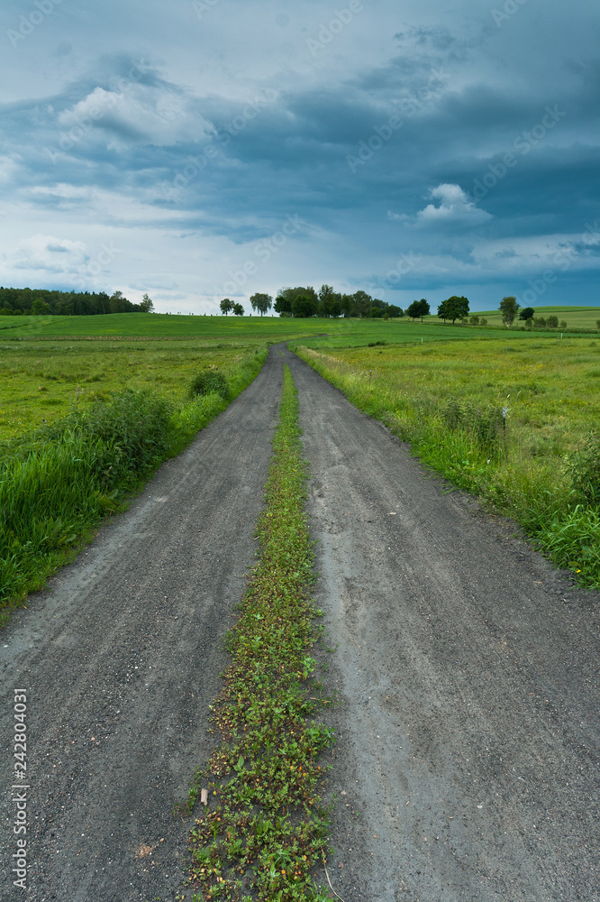 Morning field landscape. Rural landscape. Sunrise.