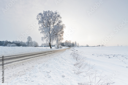 Beautiful snow winter landscape.Winter landscape. © Lukasz Sokol