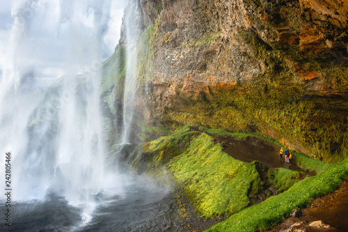 Fototapeta Naklejka Na Ścianę i Meble -  Travel in Iceland and sightseeing of waterfalls. Group of four people in colorful raincoats are standing on the trail under the rock and looking at the famous Seljalandsfoss waterfall at sunset