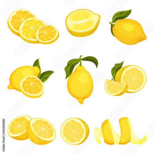 Detailed vector set of sliced and whole lemons. Juicy citrus fruit. Organic product. Natural and healthy food