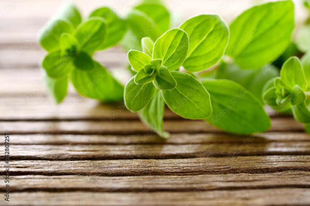fresh marjoram herb on the wooden table fresh marjoram herb on the wooden table