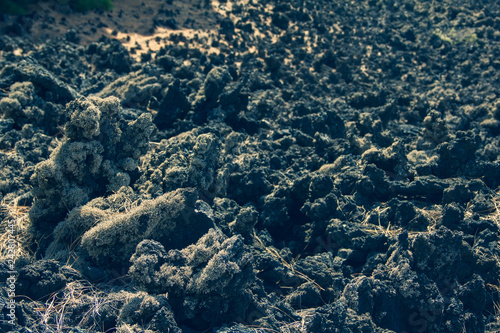 surface of volcanic lava close-up, textured background, landscape on Iceland