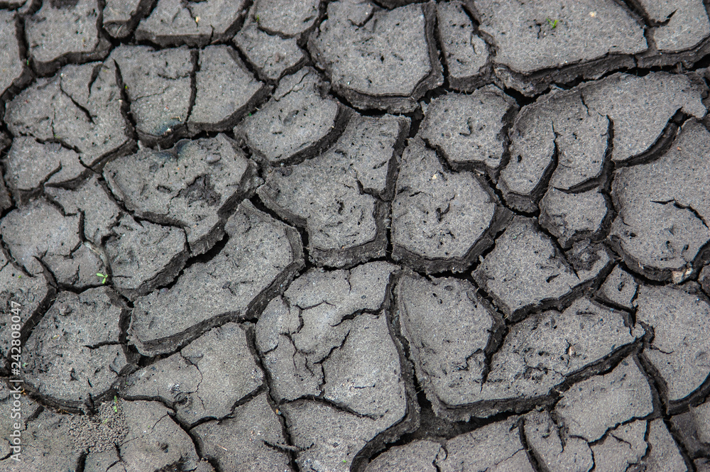 Fototapeta premium Land dry