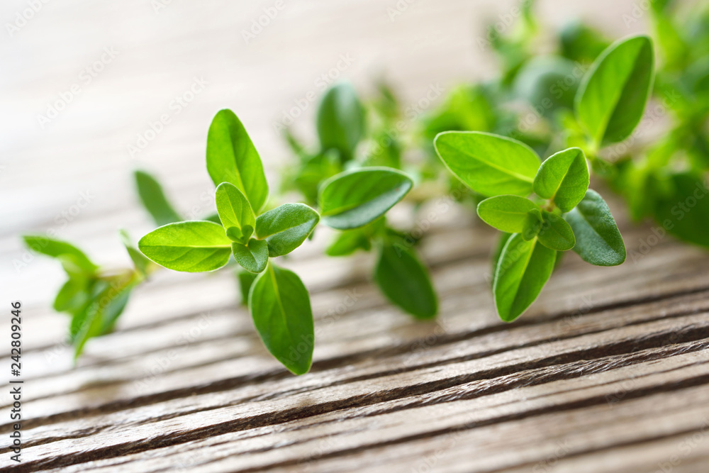 fresh thyme herb on the wooden table fresh thyme herb on the wooden table