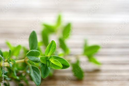 fresh thyme herb on the wooden table