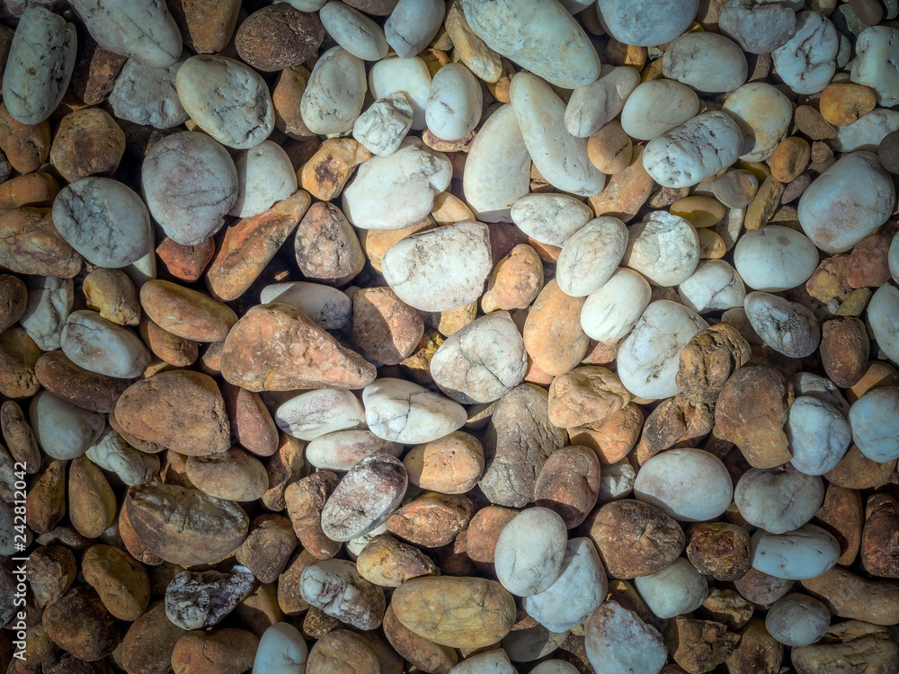 Sea stone on the beach for background