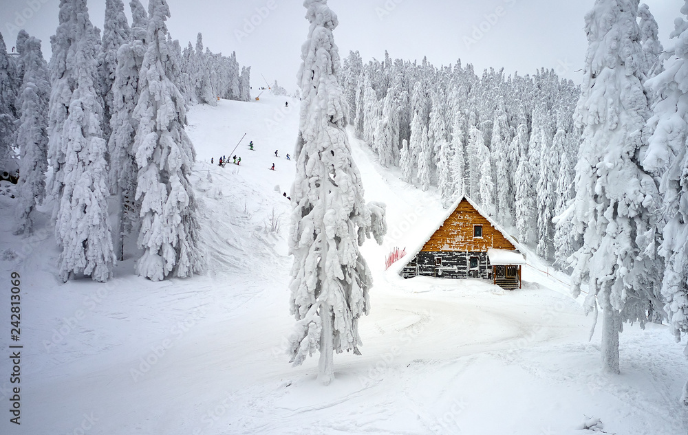 Wooden chalets and spectacular ski slopes in the Carpathians,Panoramic view over the ski slope Poiana Brasov ski resort,Transylvania,Romania,Europe,Pine forest covered in snow on winter season