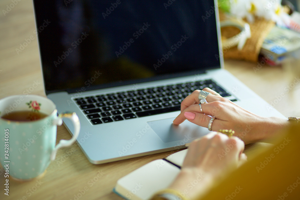 Young woman holding credit card and using laptop computer. Online shopping concept Young woman holding credit card and using laptop computer. Online shopping concept
