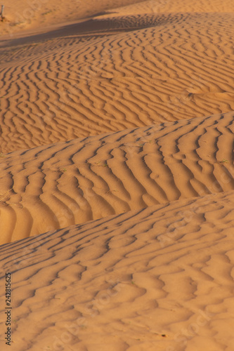 The design of the rippling textured sand dunes background in the beautiful sunshine in the United Arab Emirates.