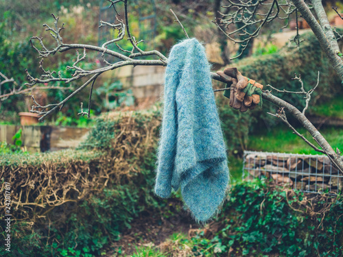 Woolen jumper hanging from tree