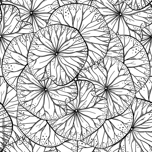 Exotic lotus leaves black and white vector seamless pattern