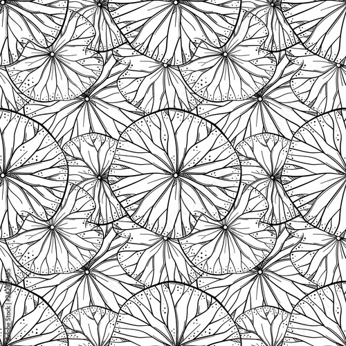 Exotic lotus leaves black and white vector seamless pattern