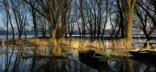 boat on the edge of the waterway forest 