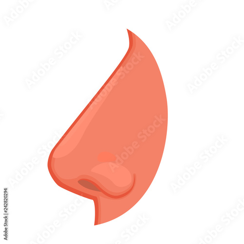 Vector illustration anatomy of a human nose. Vector illustration. Nose treatment concept.  Close-up and macro view, side view. For advertising and medical publications