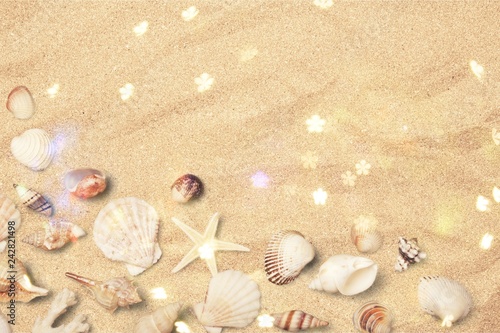 Sea shells on sandy beach with place for text