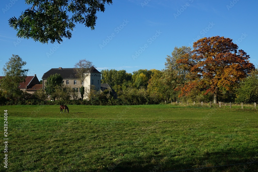 Pferdeweide Pferdeweide