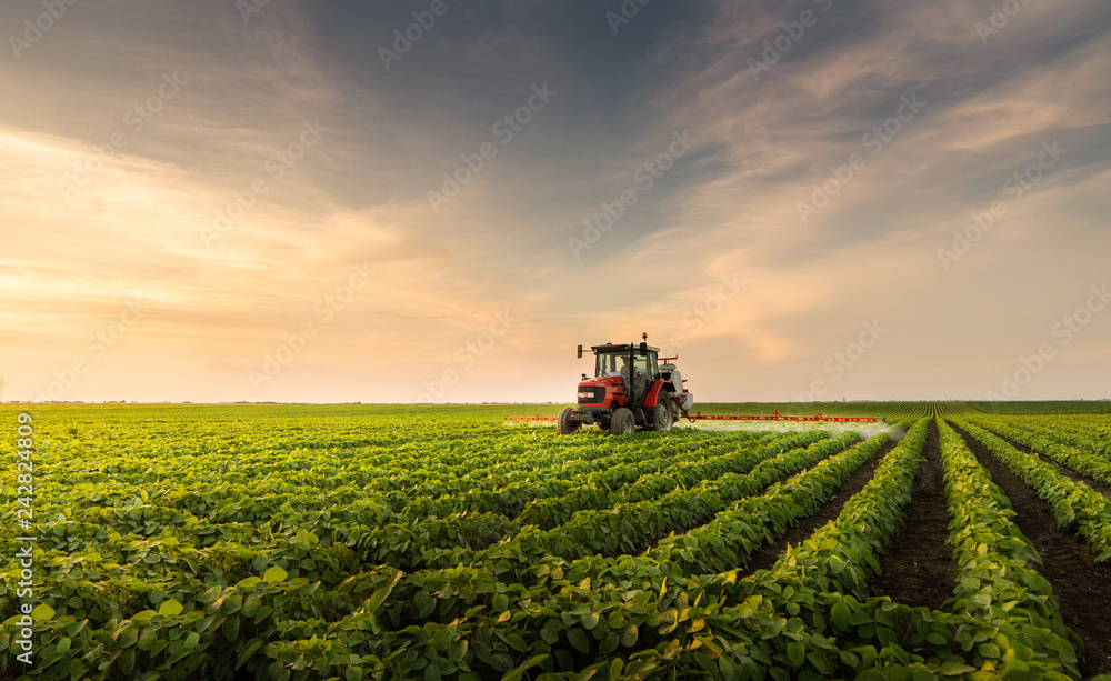 Tractor spraying pesticides at soy bean field Tractor spraying pesticides at soy bean field