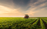 Tractor spraying pesticides at  soy bean field
