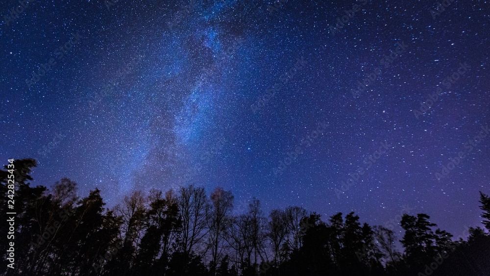 Naklejka premium Beautiful night sky with Milky Way over forest.