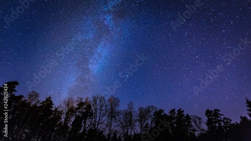Beautiful night sky with Milky Way over forest.