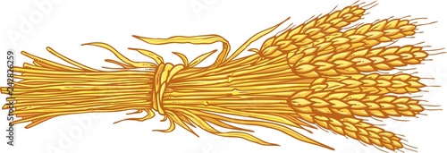 Ears of wheat