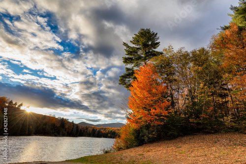 autumn landscape with trees and blue sky