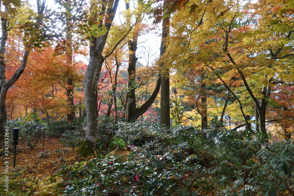 Naklejka premium 大原三千院