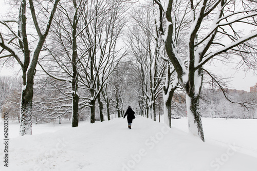 Winter in Russia with fresh white snow  © protivnica