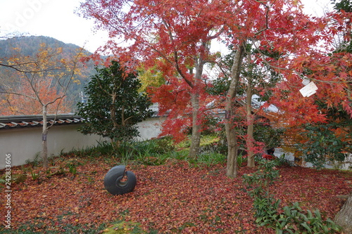 大原三千院 photo