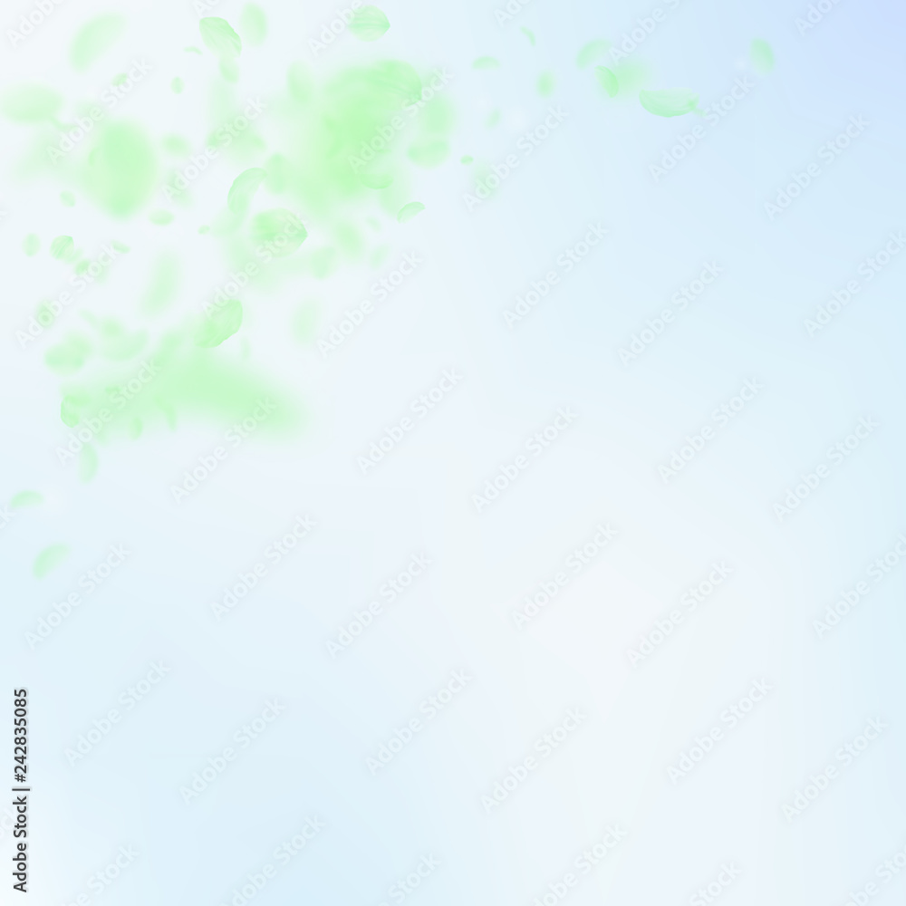 Green flower petals falling down. Powerful romanti Green flower petals falling down. Powerful romanti