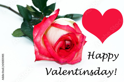 Happy Valentinsday Blumengruß Freisteller