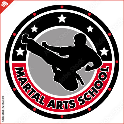 Karate high kick emblem. Martial art colored simbol design. Vector, EPS.