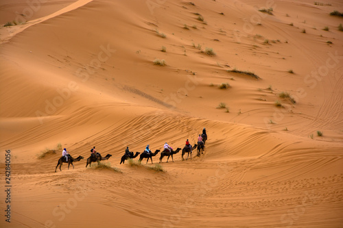 фотографія ruta en camello por el desierto de Marrakech, Marruecos