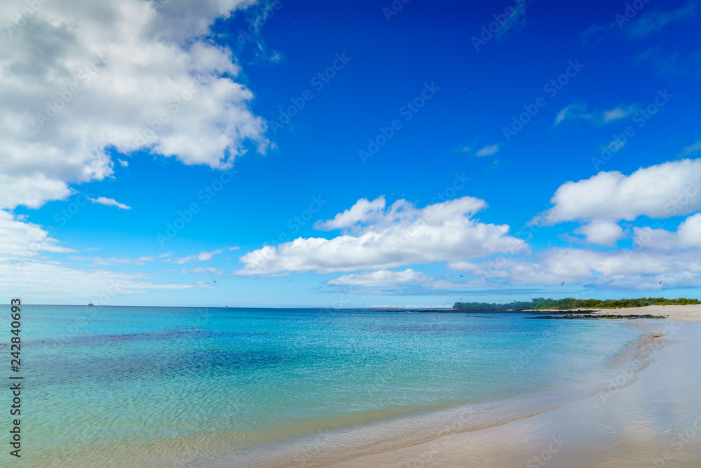 Galapagos Paradise Island View. Sunrise Flat Water, Amazing Landscape Ocean. Blue Ocean Beach. Sun Rays in Wave Background. Beaut Sky Clouds. Beach Background. Clear Tropical Beach. Pelicans Flying. 