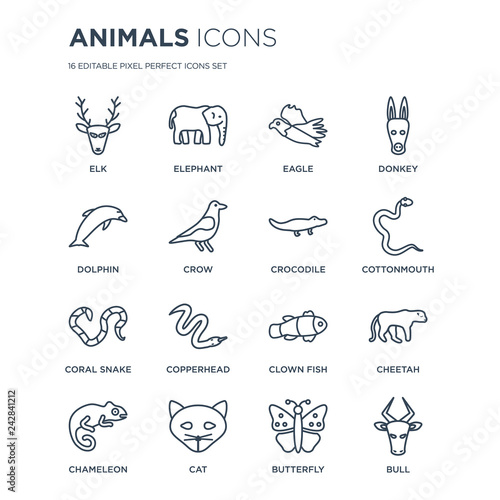 Photography 16 linear animals icons such as Elk, Elephant, Cat, Chameleon, Cheetah, Bull, Dolphin, coral snake, Crocodile modern with thin stroke, vector illustration, eps10, trendy line icon set