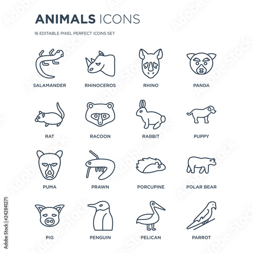 16 linear animals icons such as salamander, Rhinoceros, Penguin, Pig, Polar bear, Parrot, Rat, puma, Rabbit modern with thin stroke, vector illustration, eps10, trendy line icon set.